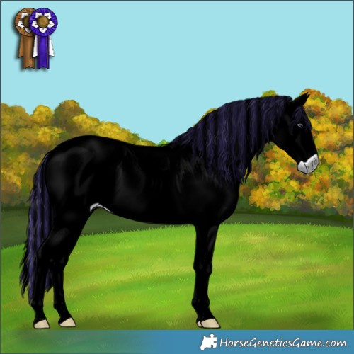 Horse Color:Painted Red Chinchilla Roan 