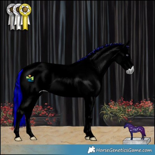 Horse Color:Painted Red Chinchilla Roan 