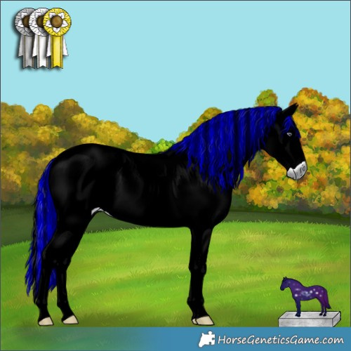 Horse Color:Painted Red Chinchilla Roan