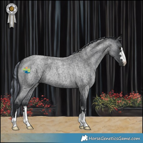 Horse Color:Painted Blue Chinchilla Roan 