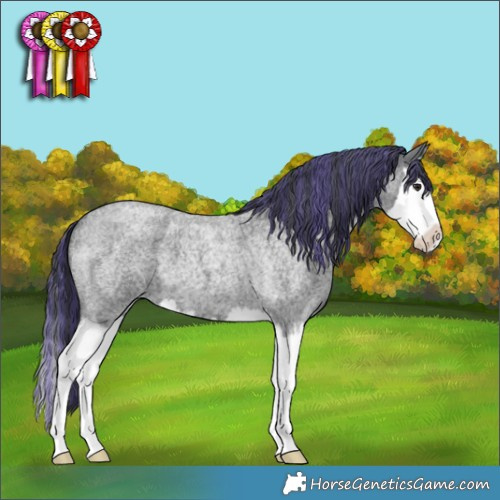 Horse Color:Painted Blue Chinchilla Roan Splash 