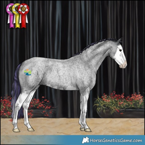 Horse Color:Painted Blue Chinchilla Roan Splash