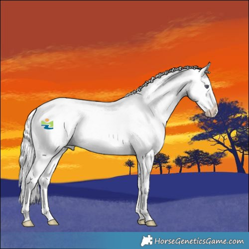 Horse Color:Red Chinchilla Roan Splash