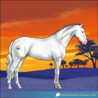 Horse Color:Red Chinchilla Roan Splash 