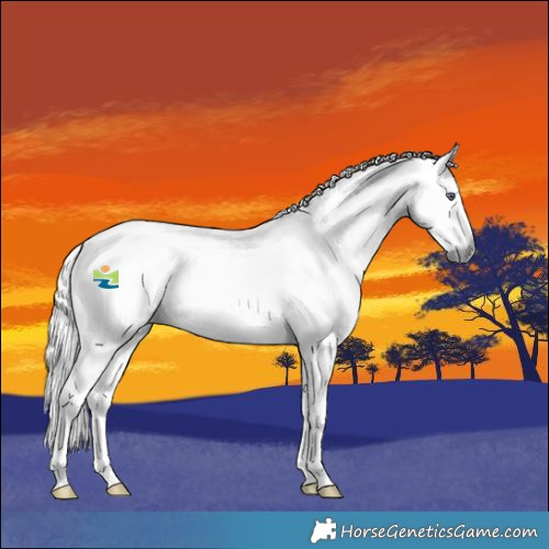 Horse Color:Red Chinchilla Roan