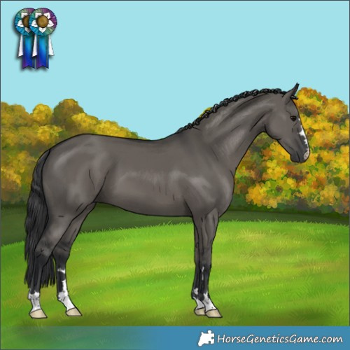 Horse Color:Grullo