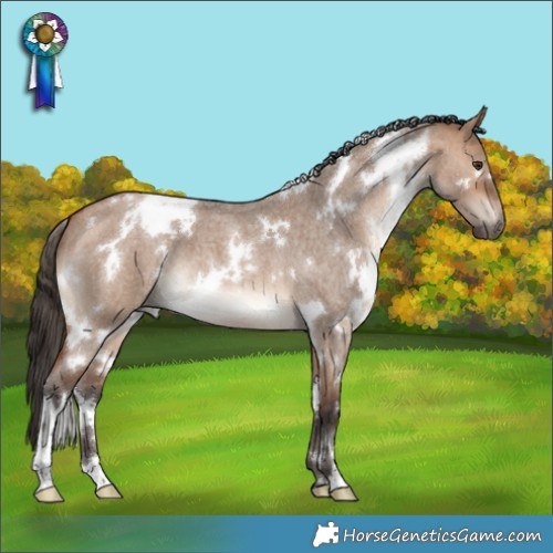 Horse Color:White Spotted Bay Roan Dun 