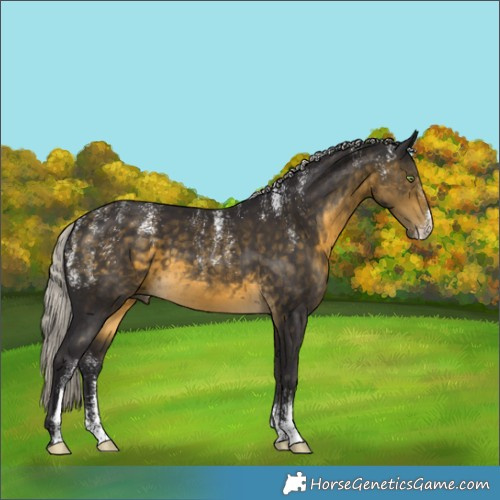 Horse Color:Powder White Silver Buckskin