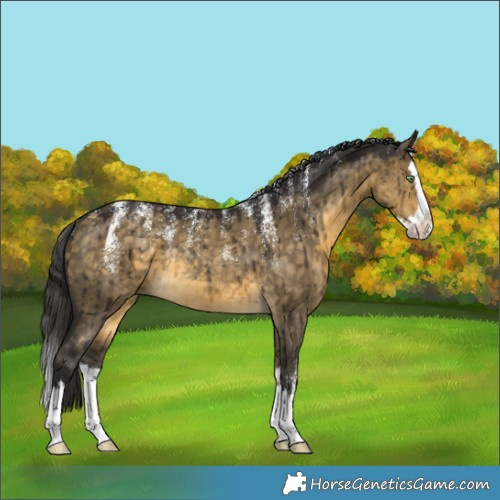 Horse Color:Powder White Buckskin Dun Splash Rabicano Brindle