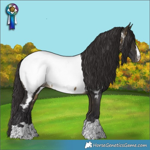 Horse Color:Buckskin Appaloosa
