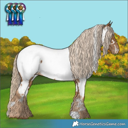 Horse Color:White Spotted Chocolate Palomino Appaloosa