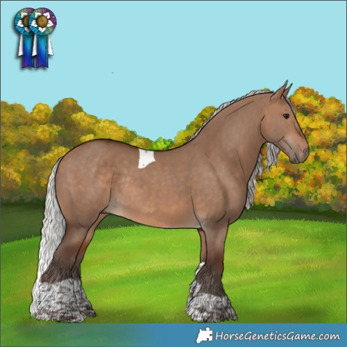 Horse Color:Silver Brown Dun Tobiano Rabicano