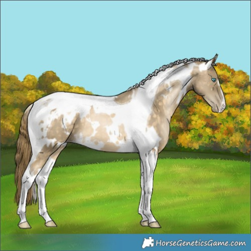 Horse Color:White Spotted Brown Snowdrop Tobiano 