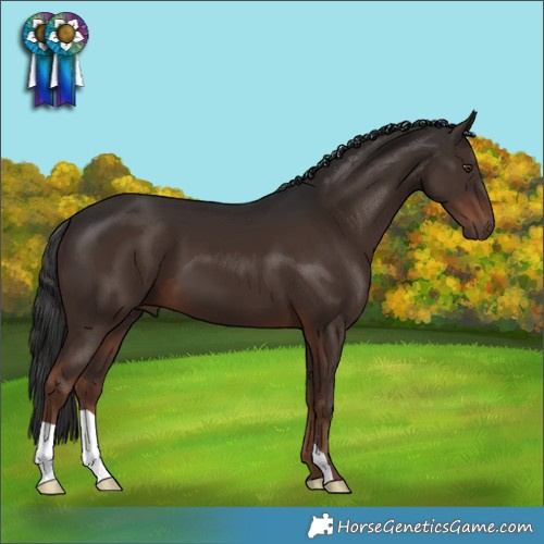 Horse Color:Liver Chestnut