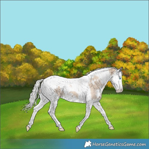 Horse Color:White Spotted Silver Perlino Splash Tobiano