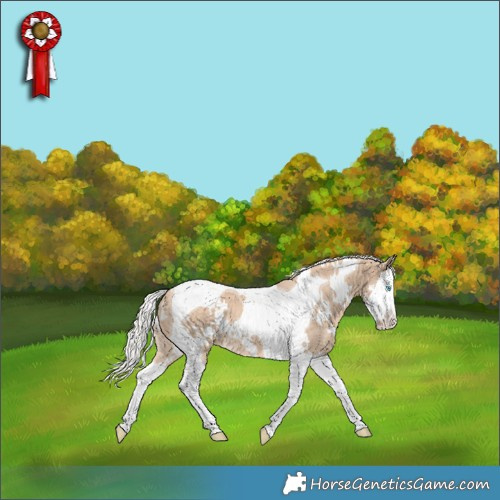 Horse Color:White Spotted Silver Perlino Splash Tobiano 