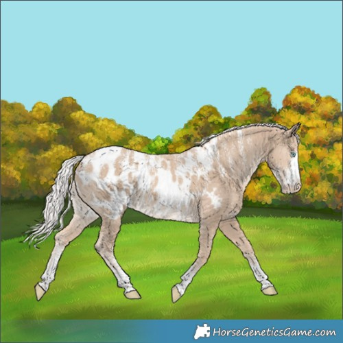 Horse Color:Powder White Silver Smoky Creme Near Leopard