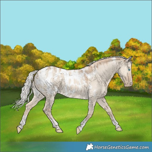 Horse Color:Powder White Silver Smoky Creme Dun Tobiano Appaloosa