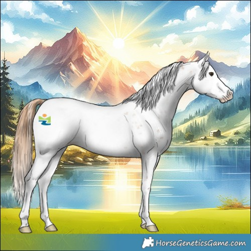 Horse Color:Chestnut Sabino Splash Snowcap 