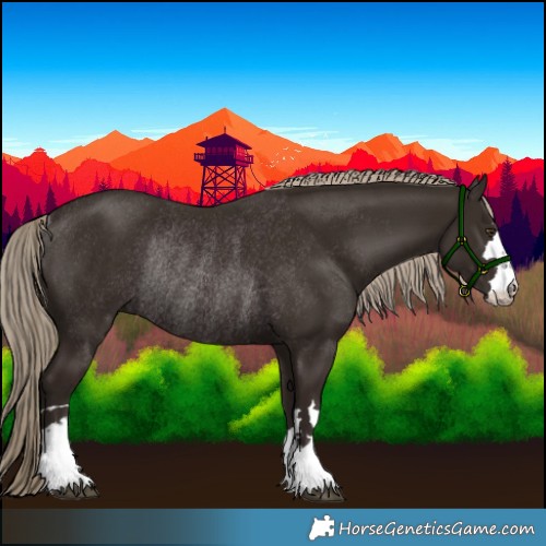 Horse Color:Liver Chestnut Rabicano 