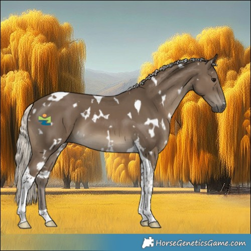 Horse Color:White Spotted Silver Smoky Black Tobiano