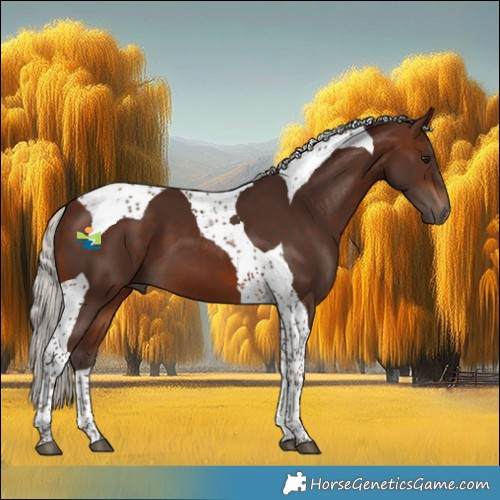 Horse Color:Silver Brown Tobiano
