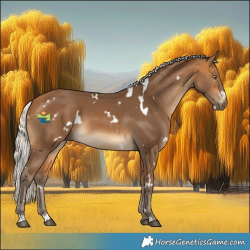 Horse Color:White Spotted Silver Buckskin