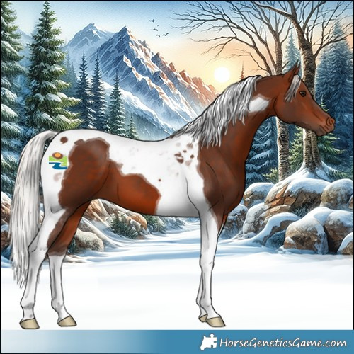 Horse Color:Silver Brown Tobiano