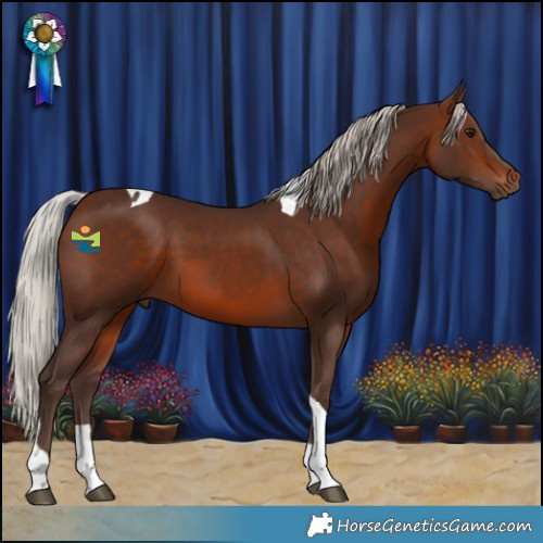 Horse Color:Silver Brown Tobiano 