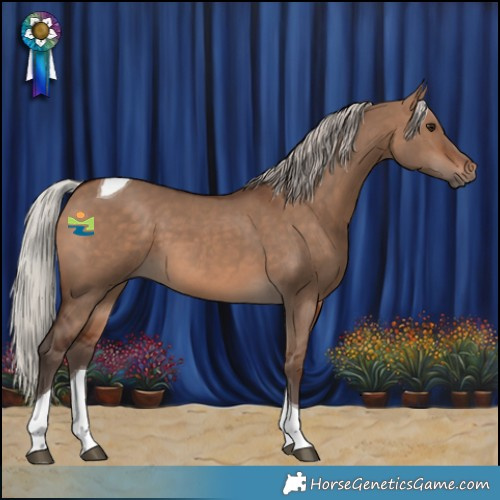 Horse Color:Silver Brown Dun Tobiano
