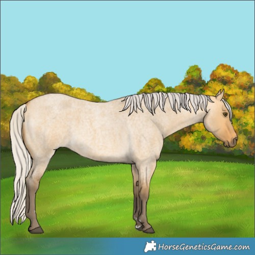 Horse Color:Silver Buckskin Roan Dun 