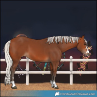 Horse Color:Silver Brown