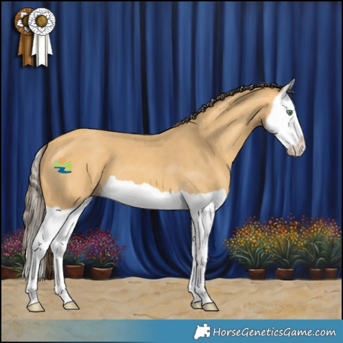 Horse Color:Amber Cream Champagne Splash