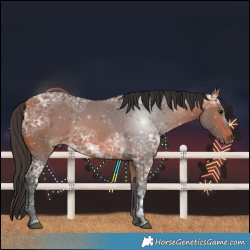 Horse Color:Bay Ice