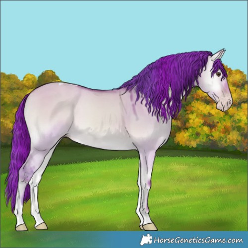 Horse Color:Watercolor Sable Champagne Onyx Tobiano