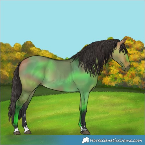 Horse Color:Bay Dun 