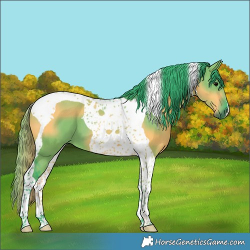Horse Color:Watercolor Grullo Tobiano