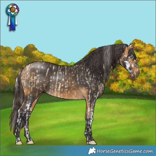 Horse Color:Silver Buckskin Pearl Splash Rabicano  and Buckskin 
