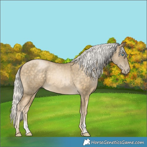 Horse Color:Silver Buckskin