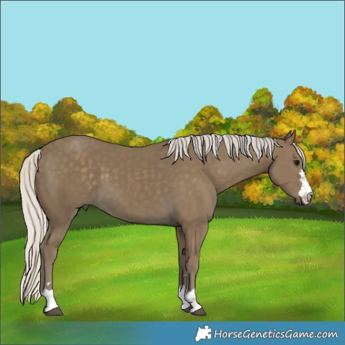 Horse Color:Silver Smoky Black