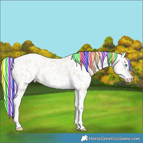 Horse Color:Painted Cremello Splash Tobiano Near Leopard 