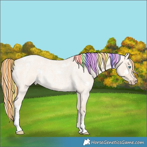 Horse Color:Painted Perlino Roan Tobiano Rabicano