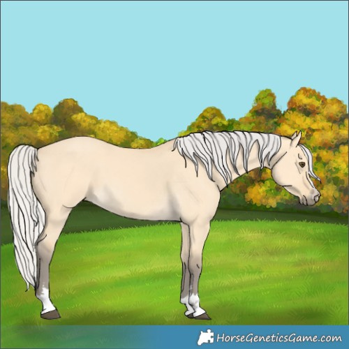 Horse Color:Silver Buckskin Dun