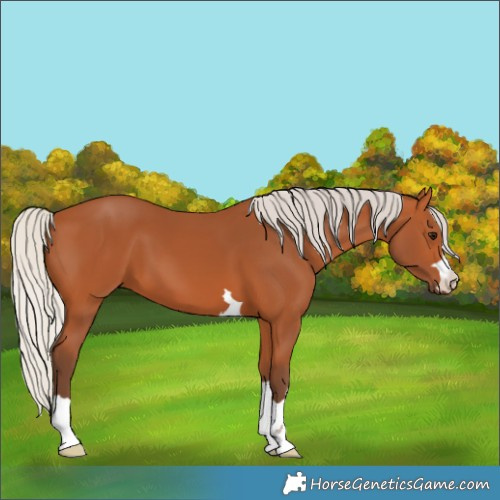 Horse Color:Silver Bay
