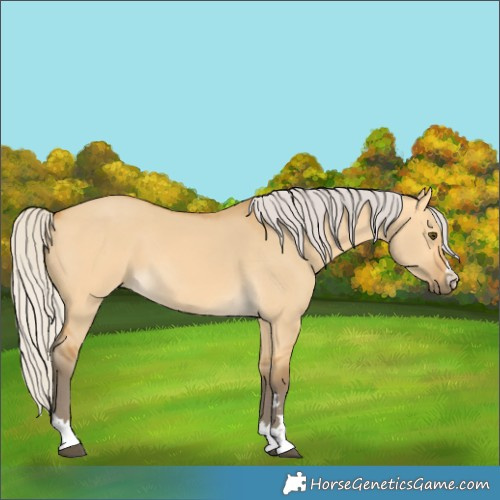 Horse Color:Silver Buckskin Dun
