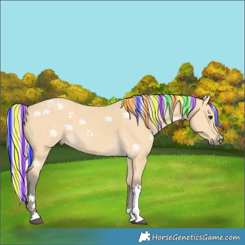 Horse Color:Painted Silver Buckskin Tobiano