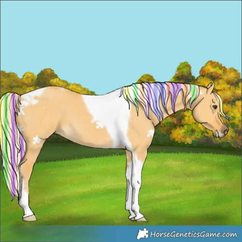 Horse Color:Painted Palomino Dun Tobiano