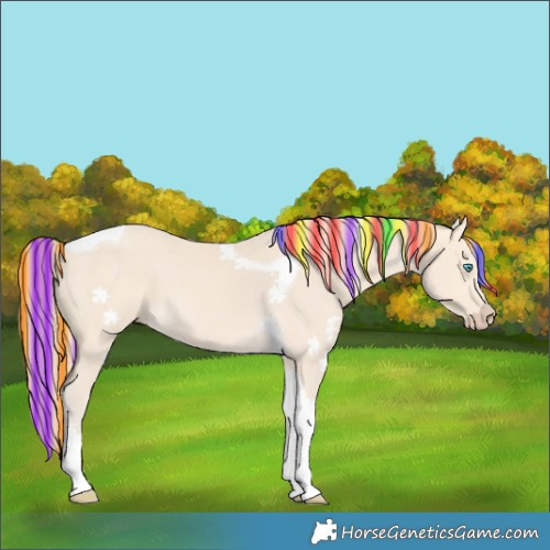 Horse Color:Painted Perlino Tobiano 