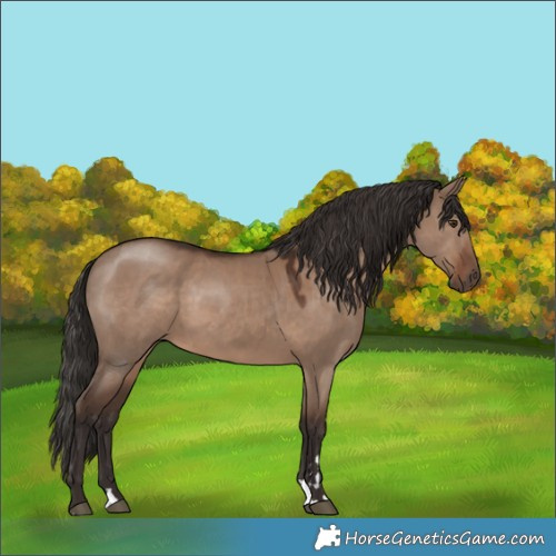Horse Color:Liver Red Dun Rabicano