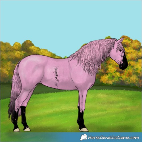 Horse Color:Void Watercolor Black Sabino Splash